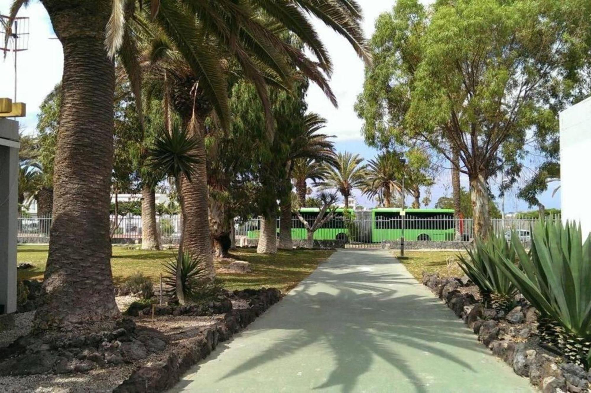 Papagayo Arona (Tenerife)